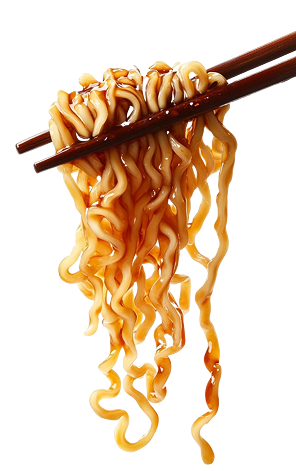 egg noodles in santa ana orange county